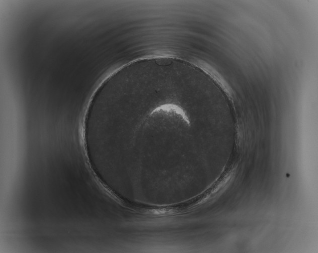 X0000102400797200808011545