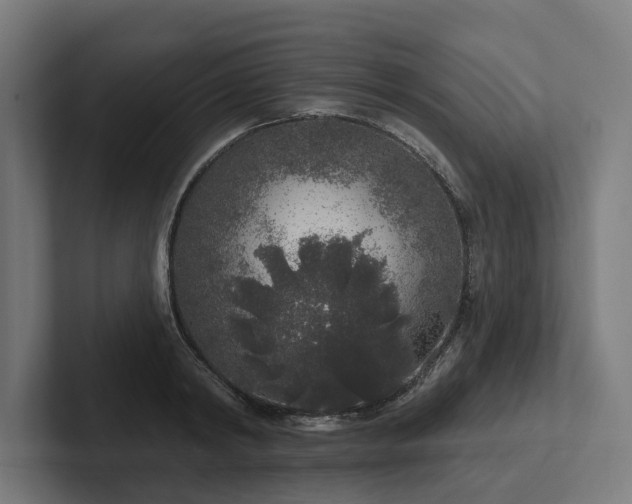 X0000102400798200808011545