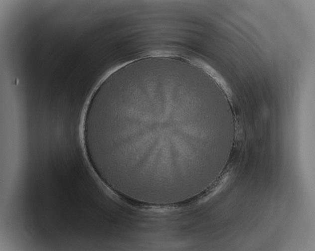 X0000102400803200808011545
