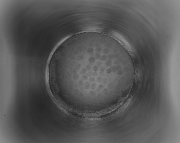 X0000102400804200808011545