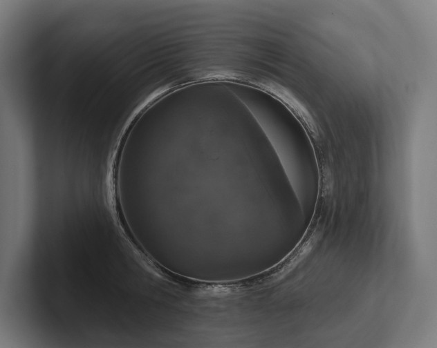 X0000102400806200808011545