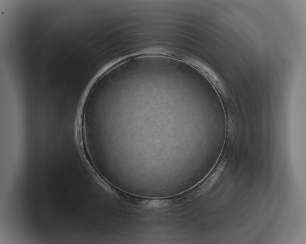 X0000102400808200808011545