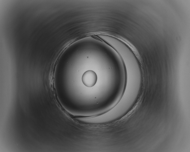 X0000102400809200808011545