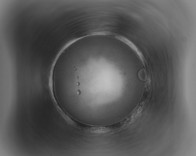 X0000102400811200808011545