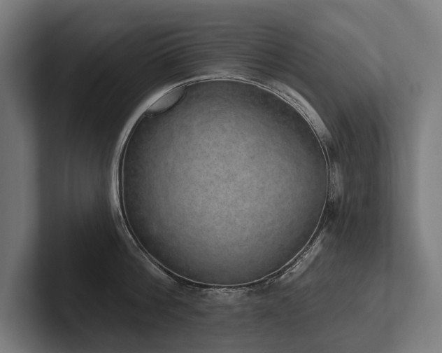 X0000102400812200808011545