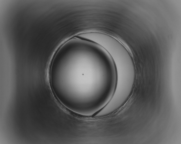 X0000102400813200808011545