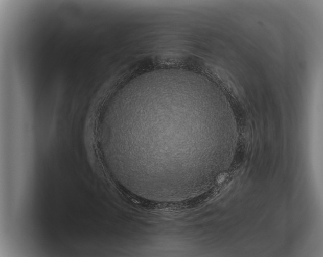 X0000102400817200808011544