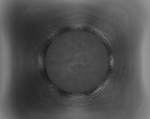 X0000102400819200808011545