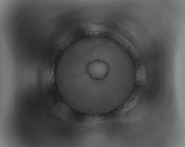 X0000102400820200808011545