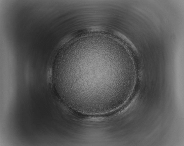 X0000102400825200808011545