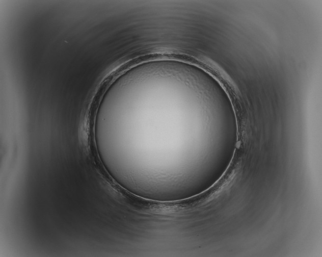 X0000102400831200808011545