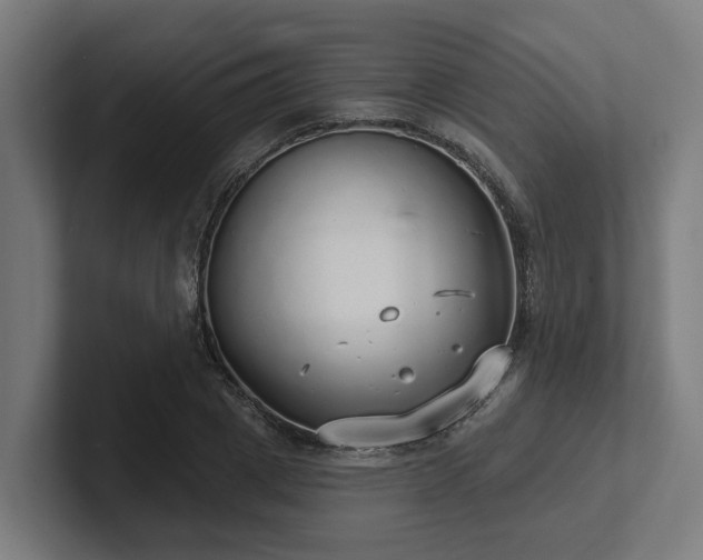 X0000102400833200808011545