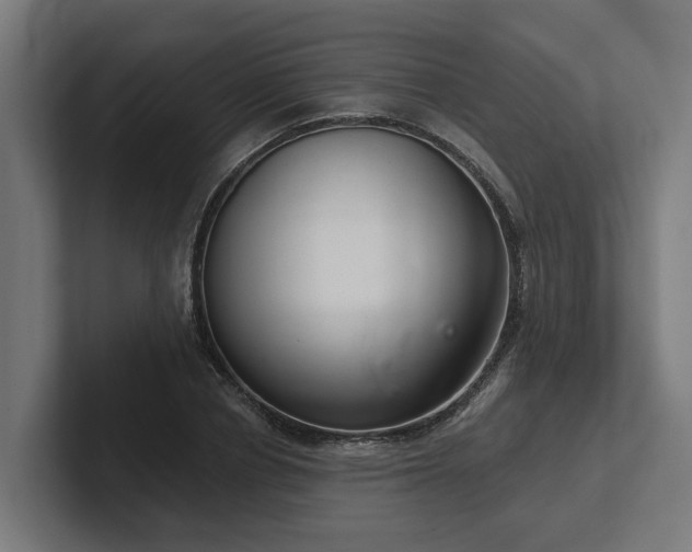 X0000102400834200808011545