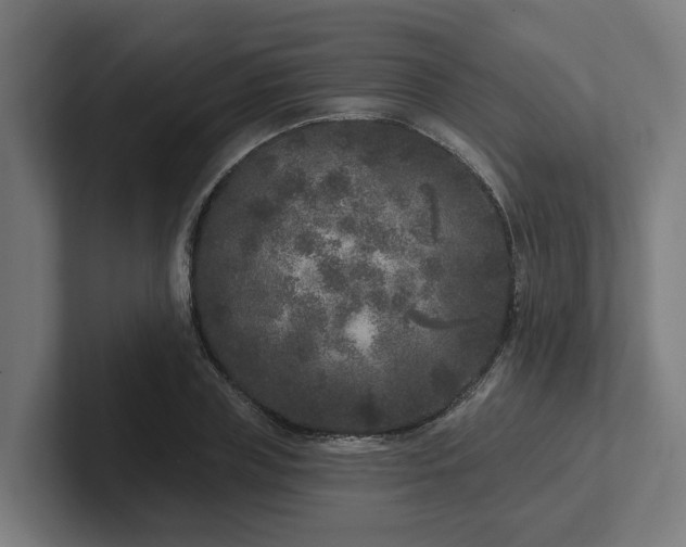 X0000102400835200808011545