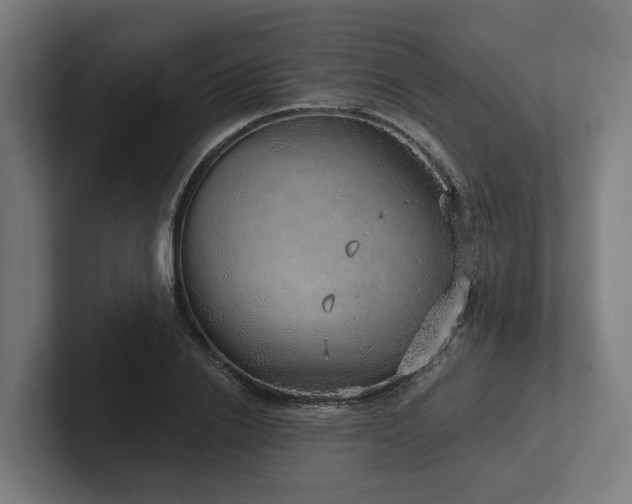X0000102400838200808011545