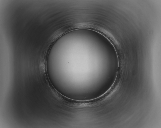 X0000102400841200808011545