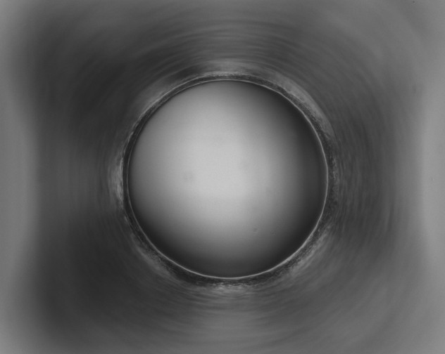 X0000102400842200808011545