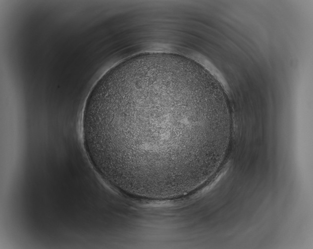 X0000102400845200808011545