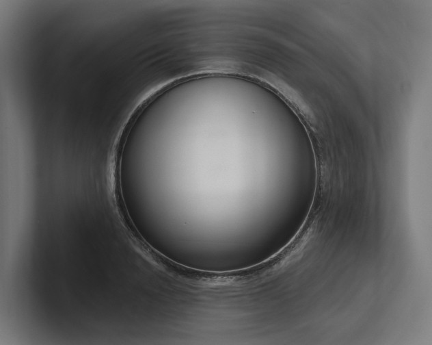 X0000102400846200808011545