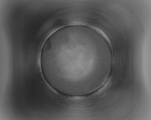 X0000102400847200808011545