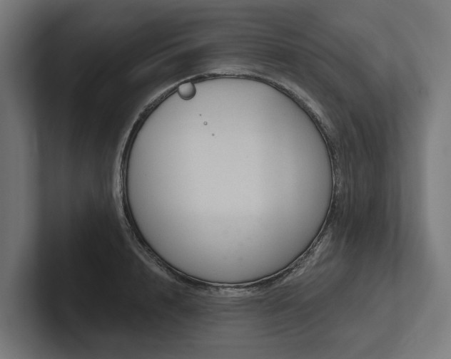 X0000102400848200808011545