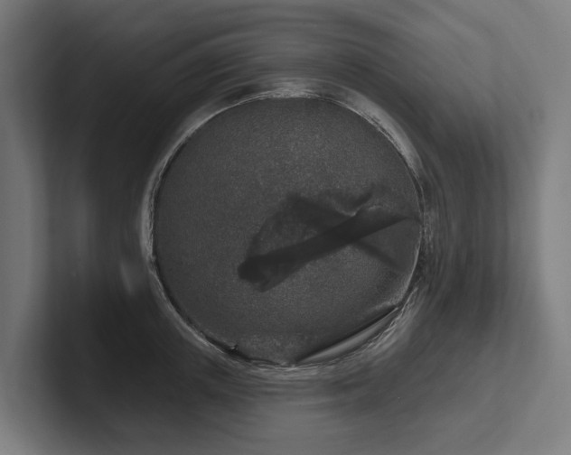 X0000102400851200808011545