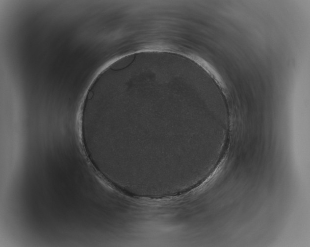 X0000102400854200808011545