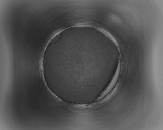 X0000102400855200808011545