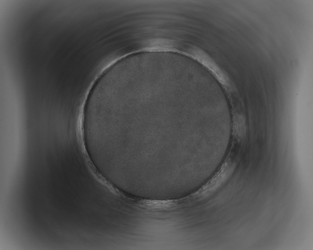 X0000102400856200808011545