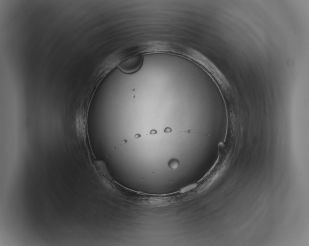X0000102400857200808011545