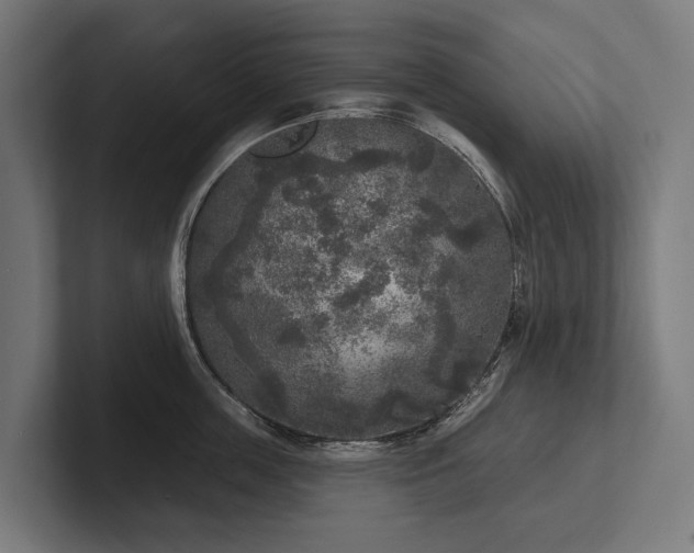 X0000102400859200808011545