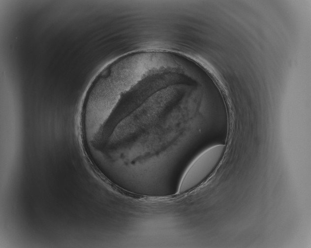 X0000102400864200808011545