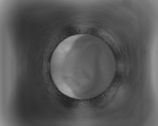 X0000102400865200808011544