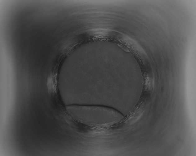 X0000102400868200808011544