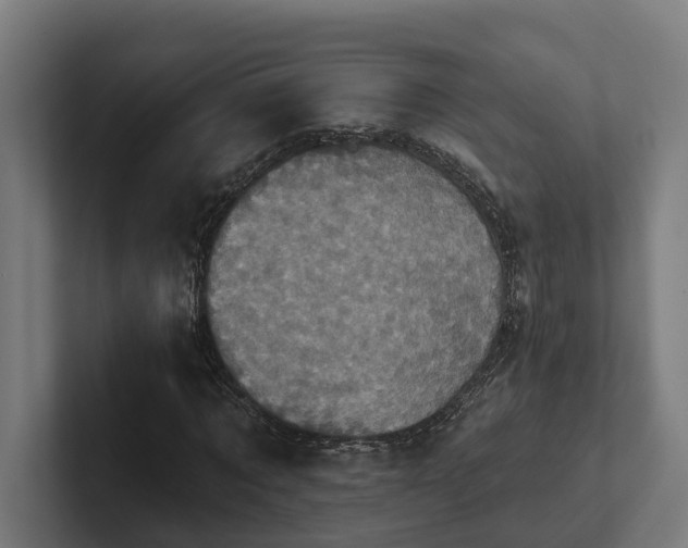 X0000102400869200808011544
