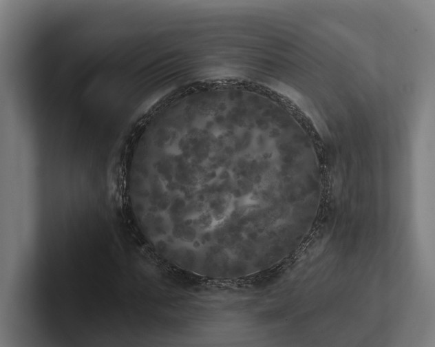 X0000102400871200808011544