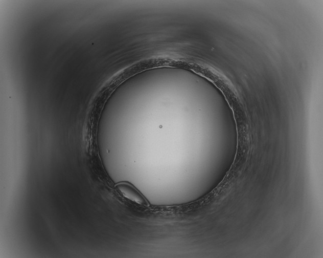X0000102400872200808011544