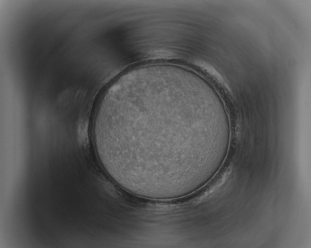 X0000102400873200808011544