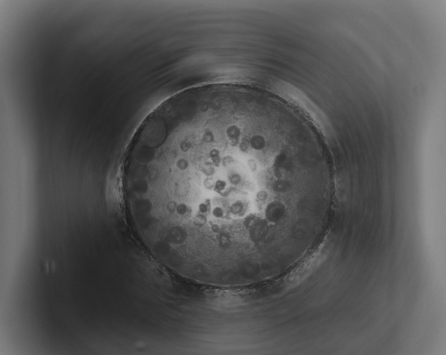 X0000102400875200808011544
