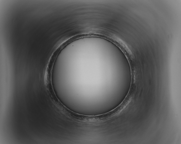 X0000102400876200808011544