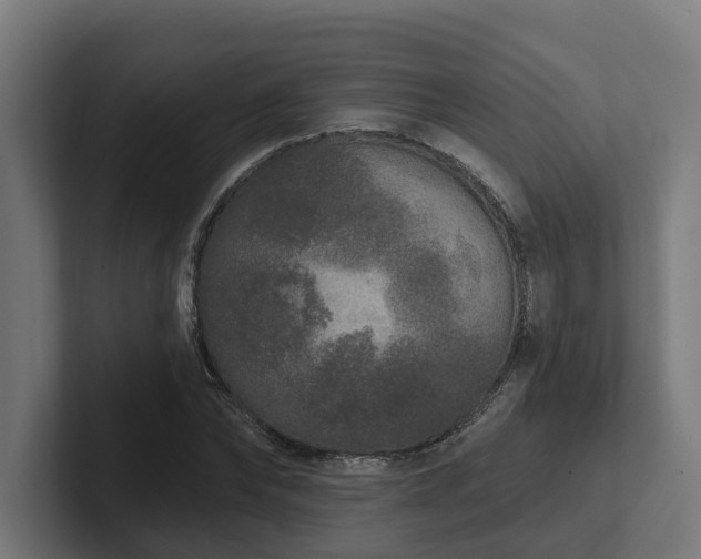 X0000102400878200808011544