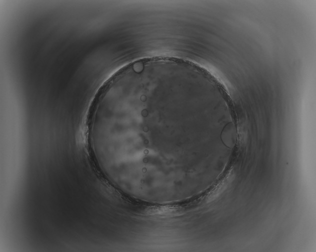 X0000102400879200808011544