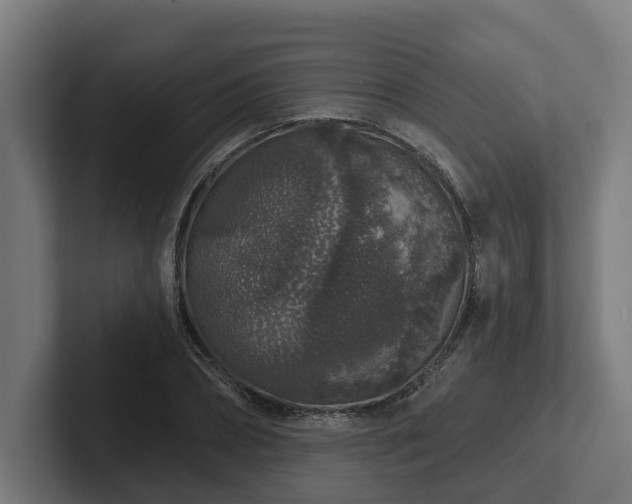 X0000102400882200808011544