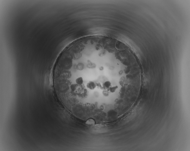 X0000102400883200808011544