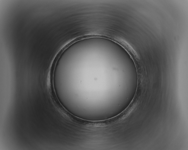X0000102400884200808011544
