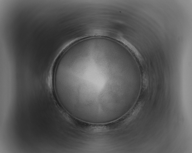 X0000102400886200808011544