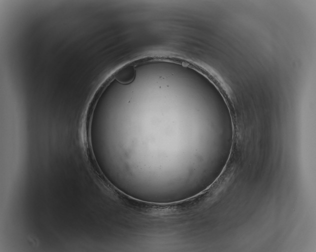 X0000102400887200808011544
