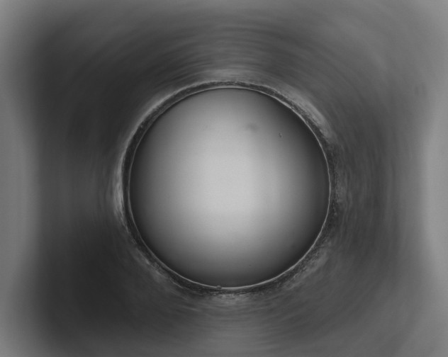 X0000102400888200808011544