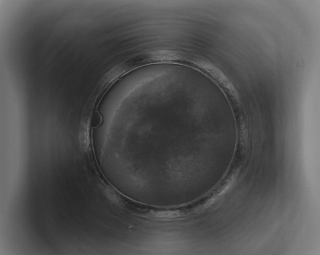 X0000102400889200808011544