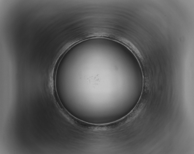X0000102400890200808011544